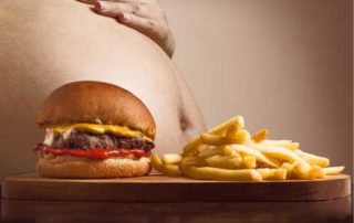Responsabilité de la junk food et la fast food dans le surpoids