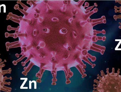 Le rôle du zinc dans l’immunité et la Covid-19