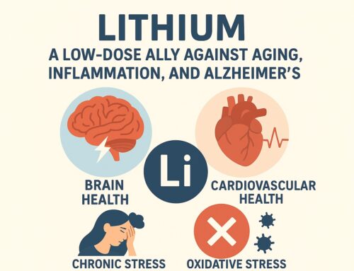 Lithium, un allié méconnu contre le vieillissement, l’inflammation et Alzheimer